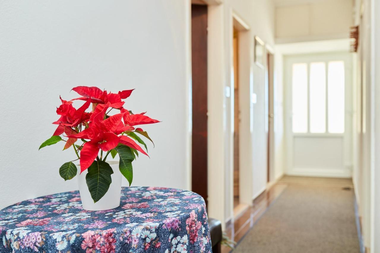 Guest House Medzalin دوبروفينك المظهر الخارجي الصورة